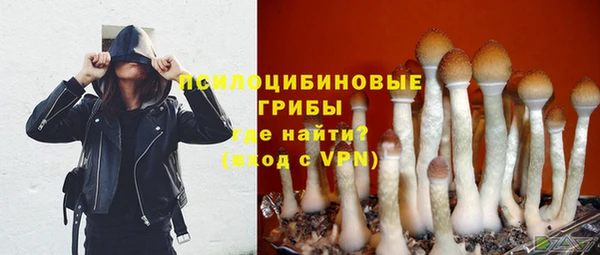 каннабис Покачи