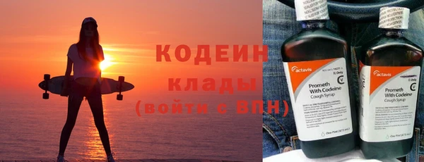 сатива Бородино