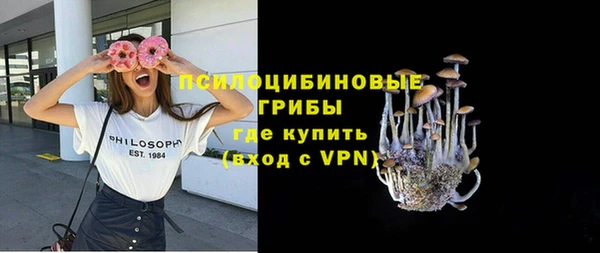 сатива Бородино