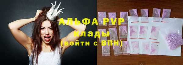 сатива Бородино
