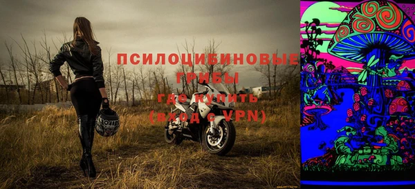 сатива Бородино