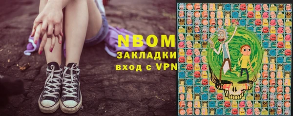 сатива Бородино